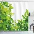 thumbnail image 1 of Ambesonne Plant Shower Curtain, Birth of Nature, 69"Wx75"L, Apple Green, 1 of 3