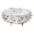 thumbnail image 6 of Opolski Pet Training Leash Rope Belt Dog Safety Harness for Small And Medium Size, 6 of 6