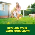 thumbnail image 6 of Raid Outdoor Fire Ant Mound Killer, Dust Insecticide for Outside Household Use on Ants, Fire Ants and Termites, Lasts 1 Year, Kills the Queen, Works Fast and Easy-To-Use, 24 oz, 6 of 14