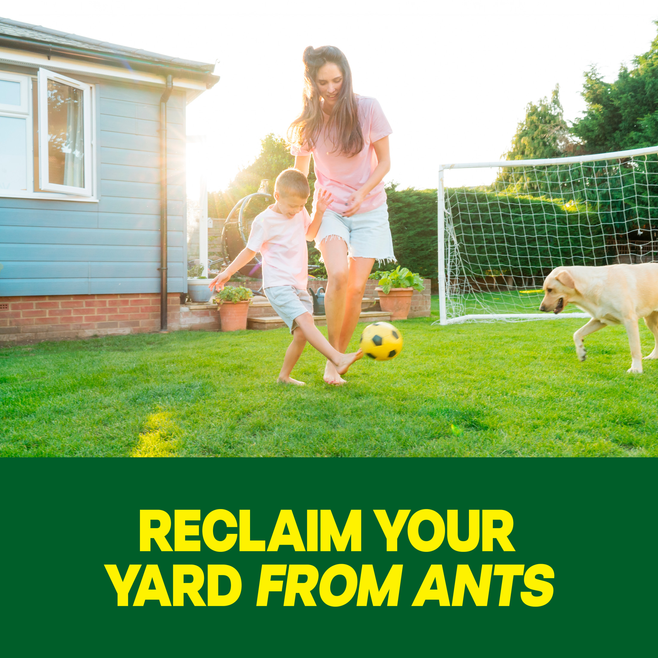 Raid Outdoor Fire Ant Mound Killer, 24 oz photo 4