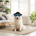 thumbnail image 1 of Stylish Small Dog Sunglasses Protective Pet Goggles With Adjustable Strap Windproof Heart Shaped Eye Wear For Outdoor Adventures, 1 of 3