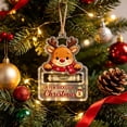 thumbnail image 5 of Crystal Acrylic Money Holder Ornament for Cash & Treat Storage, Festive Hanging Decoration , Creative Seasonal Holiday Gift(Deer), 5 of 7