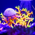 thumbnail image 6 of Unique Bargains Orange Aquarium Simulation Coral Sunflower Silicone Fluorescent Coral Glow Fish Tank Landscape Decor, 6 of 6