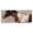 Dashing Brown Horse Farmhouse, variant on Stupell Industries Rustic Lodge Dashing Brown Horse Black Floating Frame Canvas Art, 25 x 11, by Nina Blue