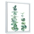 thumbnail image 3 of Designart 'Green Eucalyptus Branch' Tropical Framed Canvas Wall Art Print, 3 of 5