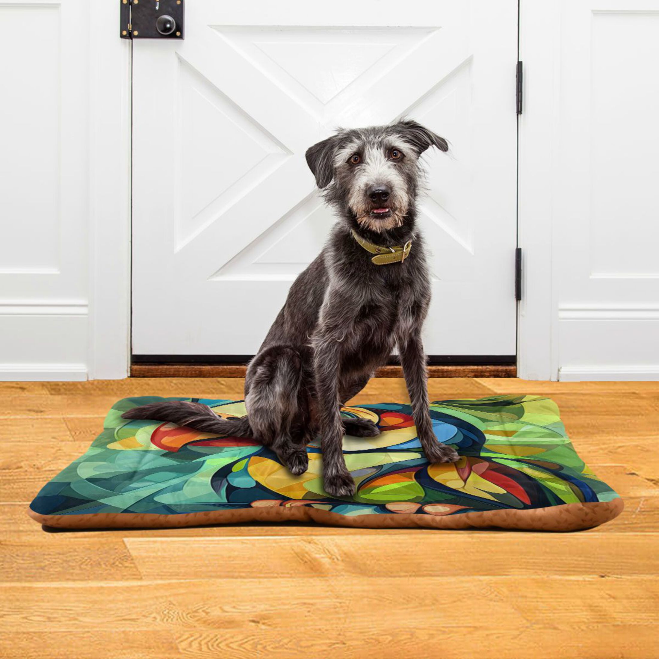 Qxltty Abstract Mini Parrot Ped Pad Wear-resistant and Hard to Bite Through Sleeping Pad for Small Medium Large Dogs Winter Pet Bed 36×24in