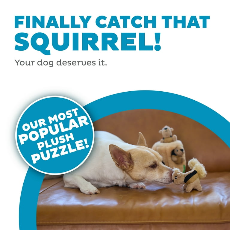Outward Hound Hide A Squirrel Plush Puzzle Dog Toy, Small photo 2