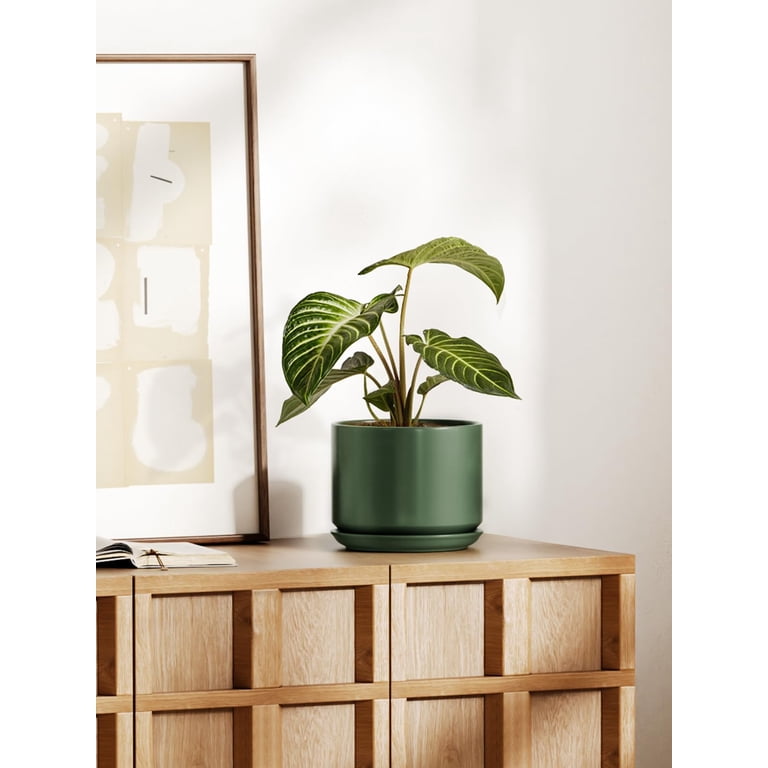 BEMAY 8" Bamboo Green Ceramic Plant Pot photo 3