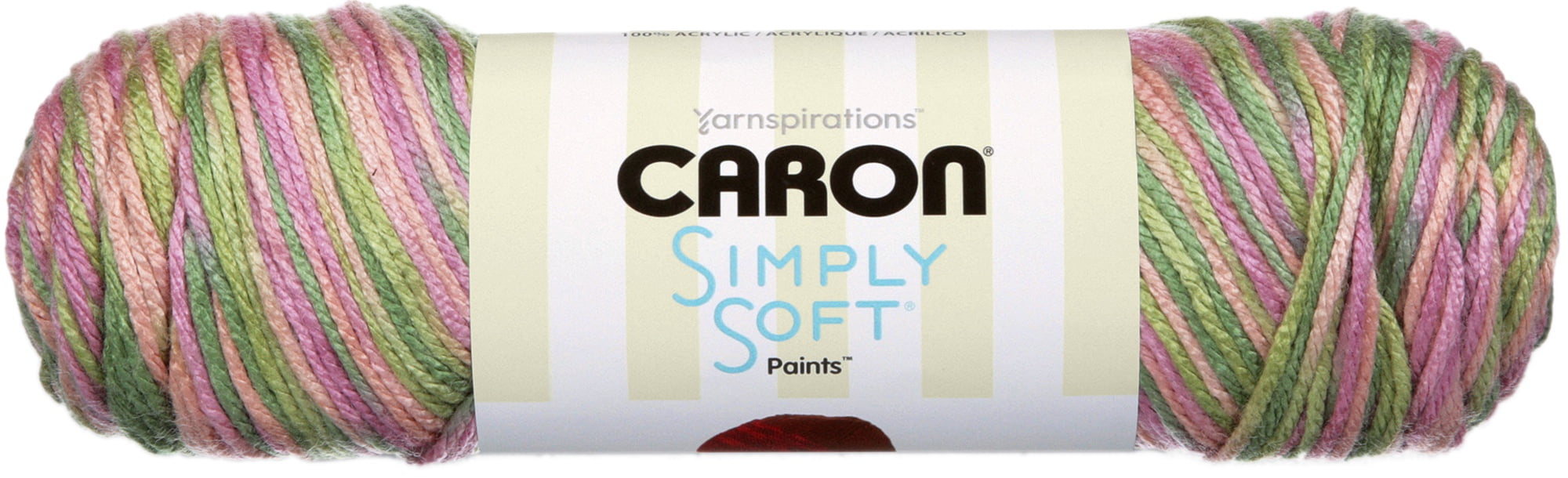 Caron Simply Soft Paints Yarn Spring Brook - Worsted Weight Acrylic