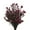 Erika Pink, variant on Vickerman 16-22" Natural Cotton Phylica Flower, 4-5 oz Bundle, Preserved