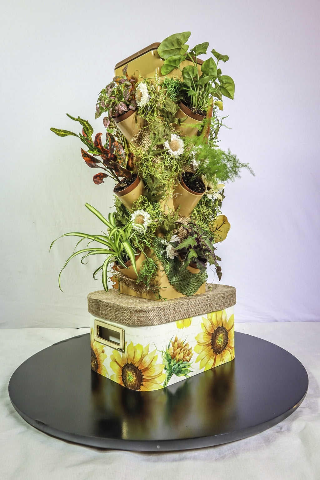 EXO Hydroponics Growing System Tier 3 Mini Tower - Advanced Indoor Gardening Kit for Healthy Plants - Automate Aeroponics Mini Indoor Outdoor Home Grow Herb