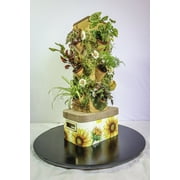 EXO Hydroponics Growing System Tier 2 Mini Tower - Advanced Indoor Gardening Kit for Healthy Plants - Automate Aeroponics Mini Indoor Outdoor Home Grow Herb