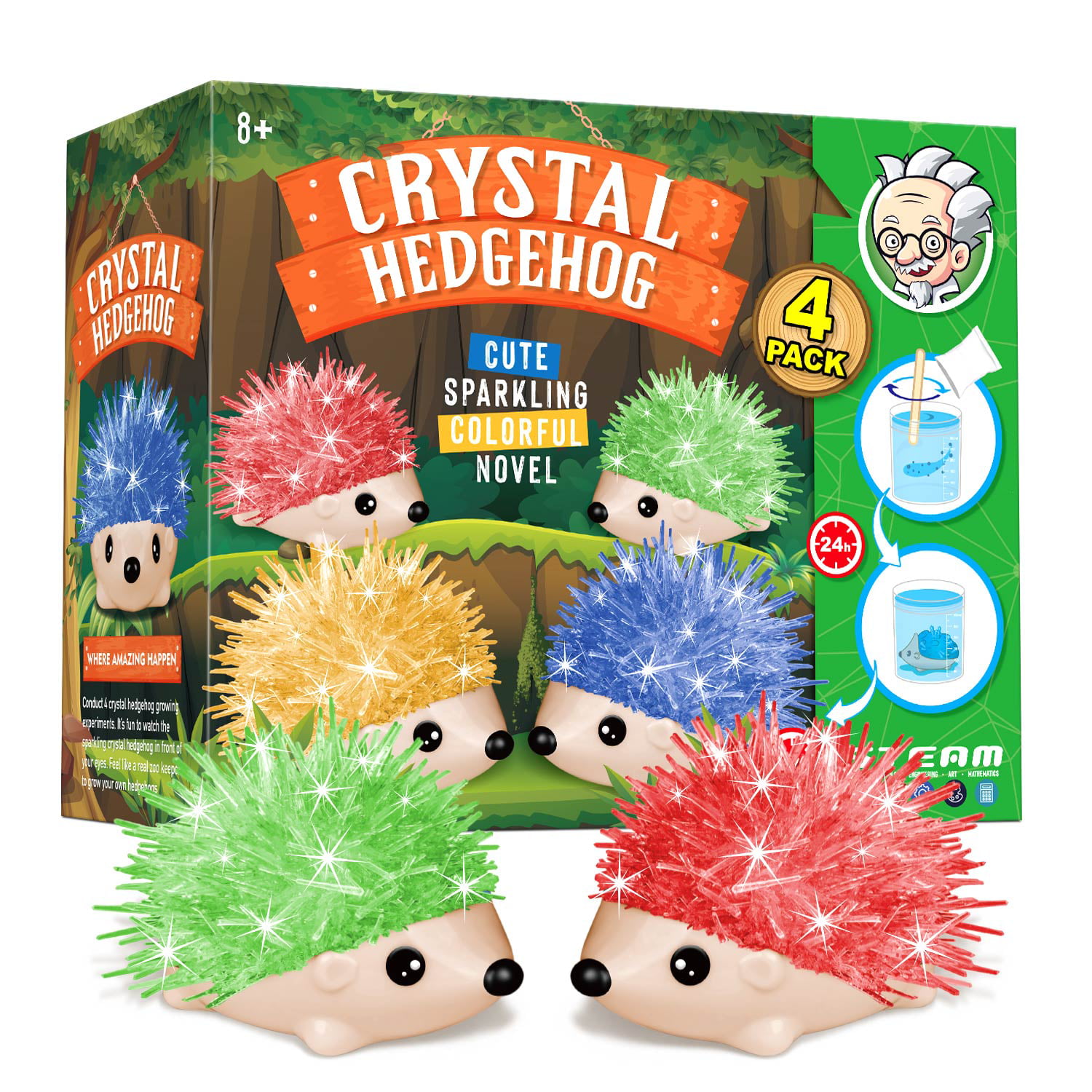 6 Items Hedgehog Gift Set 