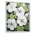 thumbnail image 2 of Designart "White And Green Geraniums In Minimalism" Geraniums Floater Framed Canvas Prints, 2 of 5
