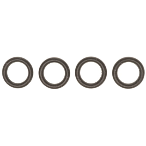 Fuel Injector O-Ring Kit