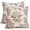Light Brown, variant on Vintage Floral Pillow Covers 16x16 Set of 2 Black Flower Pattern Print Decorative Outdoor Pillowcases Farmhouse Throw Cushion Case Decor for Couch Sofa Bed