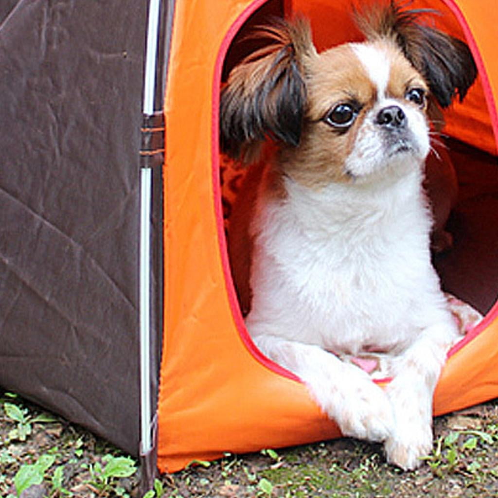 Giaone Puppy Tent Bed Teepee for Indoor Small Dogs House Foldable Shelter Photo Props Pet Tent House Bed