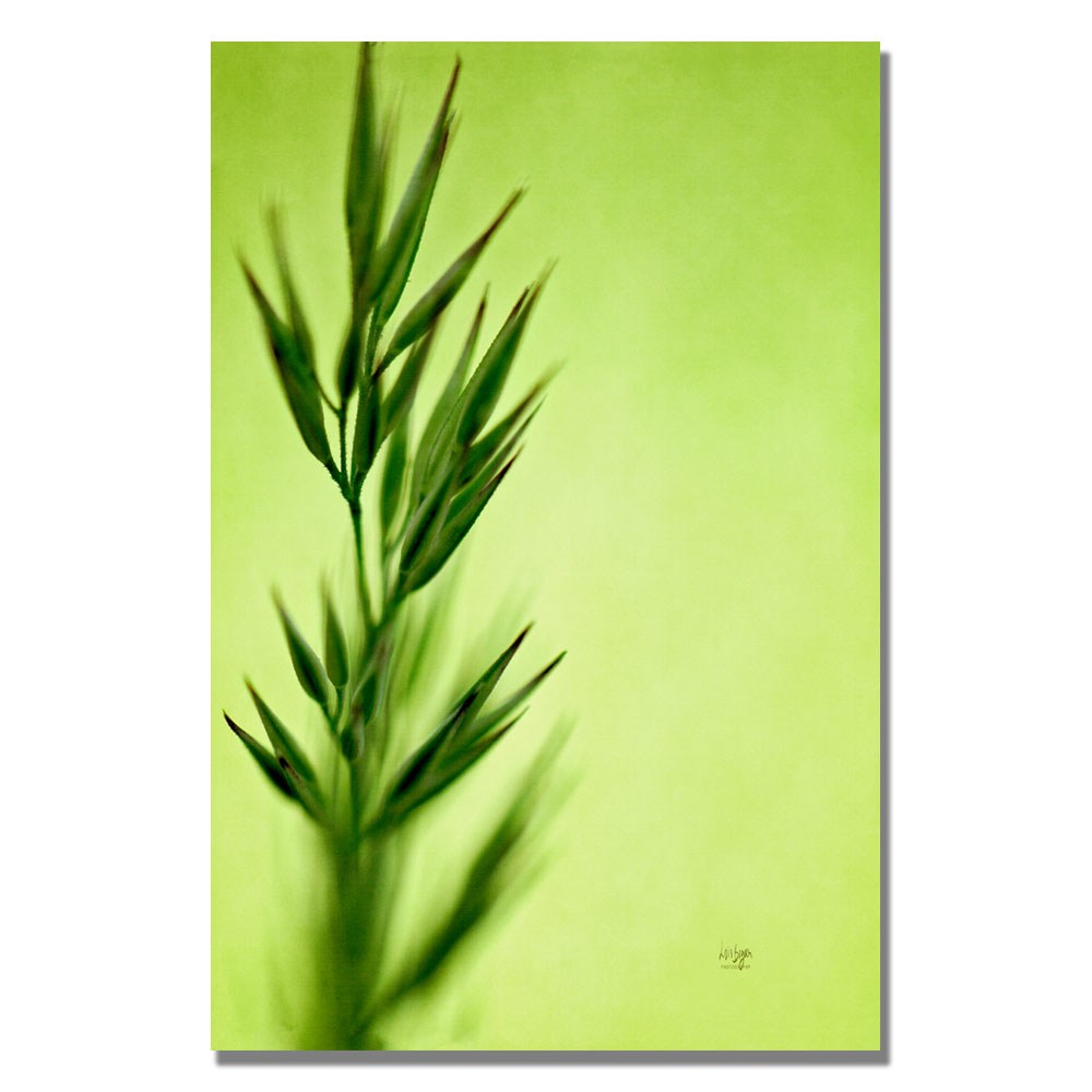 Trademark Fine Art "Keep Green II" Canvas Wall Art by Lois Bryan
