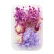 thumbnail image 1 of Lote mínimo de 10 16 series moradas flores secas velas perfumadas de flores eternas paquete de material de abanico de material floral para bricolaje/margarita hortensia ANGGREK  Otros, 1 of 8