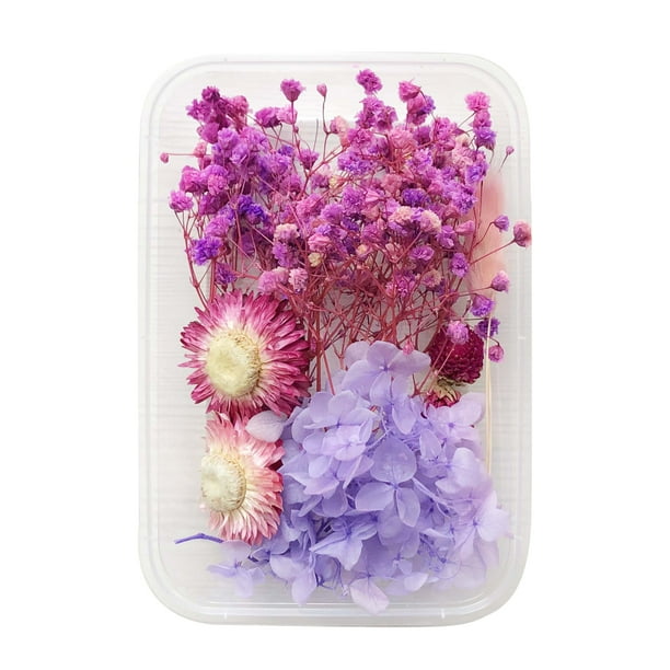 Lote mínimo de 10 16 series moradas flores secas velas perfumadas de flores eternas paquete de material de abanico de material floral para bricolaje/margarita hortensia ANGGREK Otros
