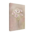thumbnail image 4 of Canvas Wall Art - Alida van Zaane 'Astrantia' Wall Art for Living Room, Bedroom, or Office D?cor by Trademark Fine Art - 12 x 19 Inches, 4 of 4