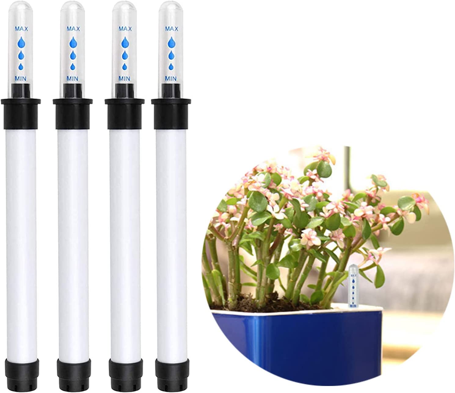 Plant Moisture Gauge Plant Flowers And Plants Indicator Soil Moisture