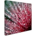 thumbnail image 2 of Trademark Fine Art "Pink Melody" Canvas Art by Beata Czyzowska Young, 2 of 3