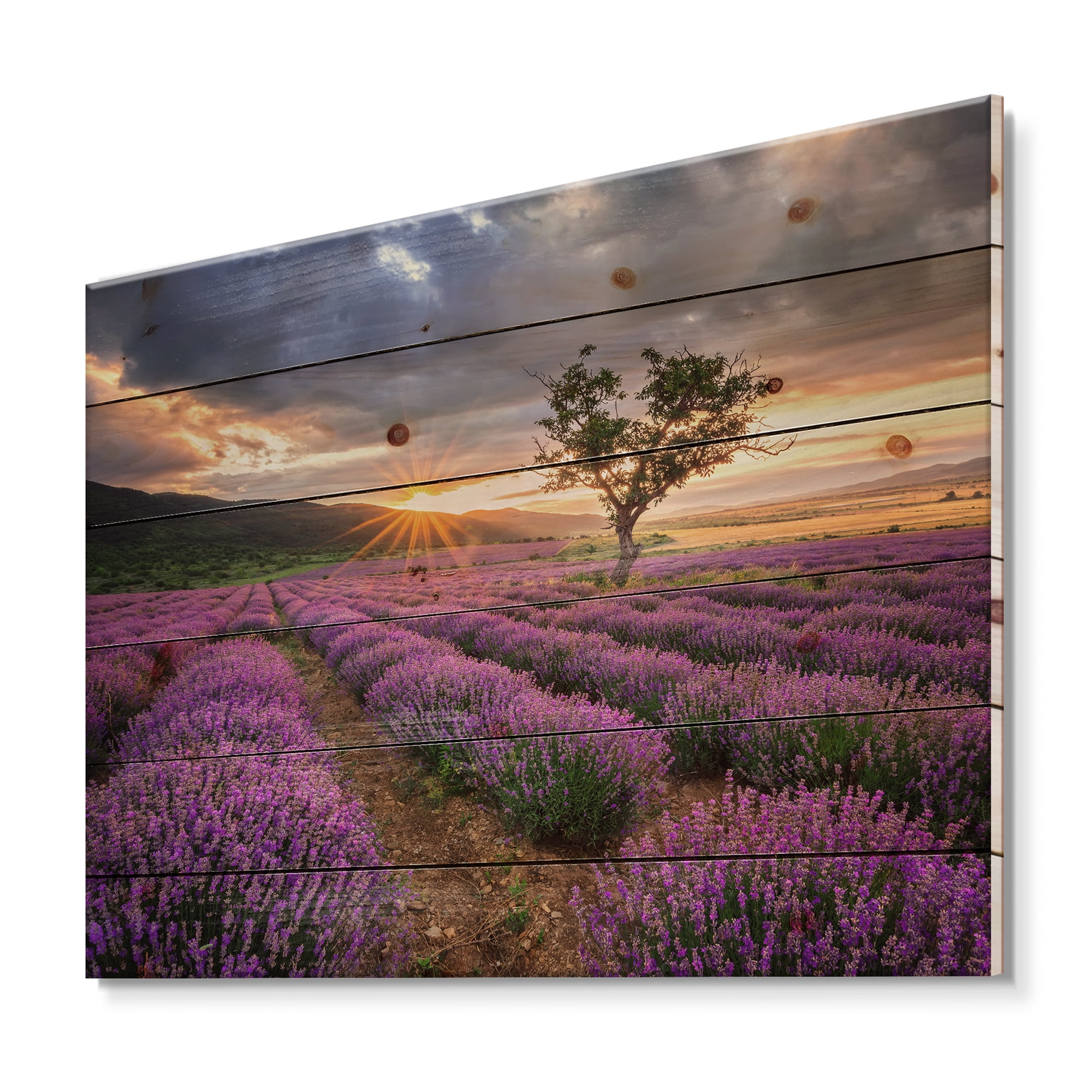 Designart 'Dramatic Clouds and Sunrise Over Lavender Field VIII' Farmhouse Print on Natural Pine Wood