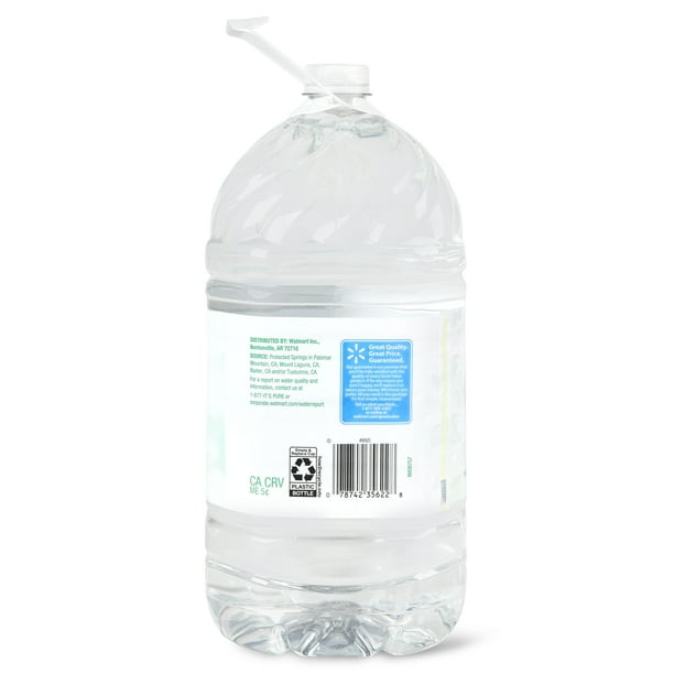 Great Value Natural Spring Water, 1 Gallon Walmart Business