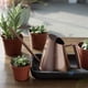 thumbnail image 4 of Elegante regadera de caño largo de acero inoxidable: ¡para plantas de interior y exterior!, 4 of 11