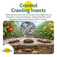 thumbnail image 2 of St. Gabriel Organics Insect Dust Diatomaceous Earth for Indoor and Outdoor Insect Control, 4lbs, 2 of 6