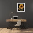 thumbnail image 3 of Unknown 26x30 White Modern Wood Framed Museum Art Print Titled - Sunflower II, 3 of 4