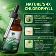 thumbnail image 6 of Vegan Chlorophyll Liquid Drops 200mg, Advanced Liquid Chlorophyll for Natural Cleansing & Immune Health, Internal Deodorant, Skin & Gut Health, Sugar-Free, Non-GMO, 1 Fl Oz - Mint Flavor, 6 of 7