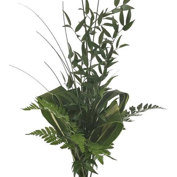 Grandeur Greens Mixed Bouquet 5 Pack of Farm Direct Fresh Cut Flower Bouquets of Mixed Greenery by Bloomingmore