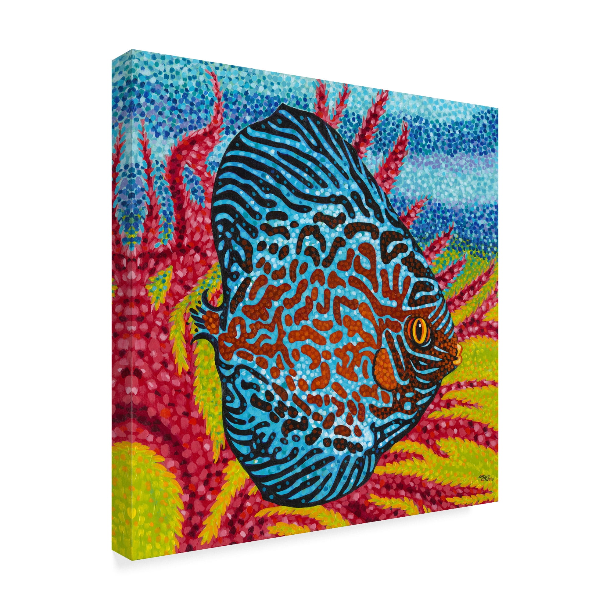 Trademark Fine Art 'Brilliant Tropical Fish II' Canvas Art by Carolee Vitaletti