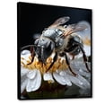 thumbnail image 2 of Designart "Insects Bugs Animal National I" Animals Floater Framed Canvas Print, 2 of 7