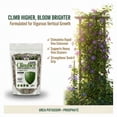 thumbnail image 4 of Old Cobblers Farm™ Wicked Growth Climbers & Vines Fertilizer – Helps Fast-Growing Vines and Climbers Reach New Heights with Colorful Blooms (5 lbs | 10 lbs | 15 lbs | 20 lbs) (5lbs), 4 of 12