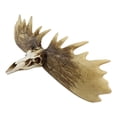 thumbnail image 2 of Rustic Western Moose Elk Skull With Point Hook Antlers Wall Floating Shelf 22"L, 2 of 5