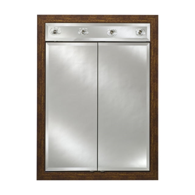 Afina Signature Contemporary Lighted Double Door 24W x 34H in. Recessed