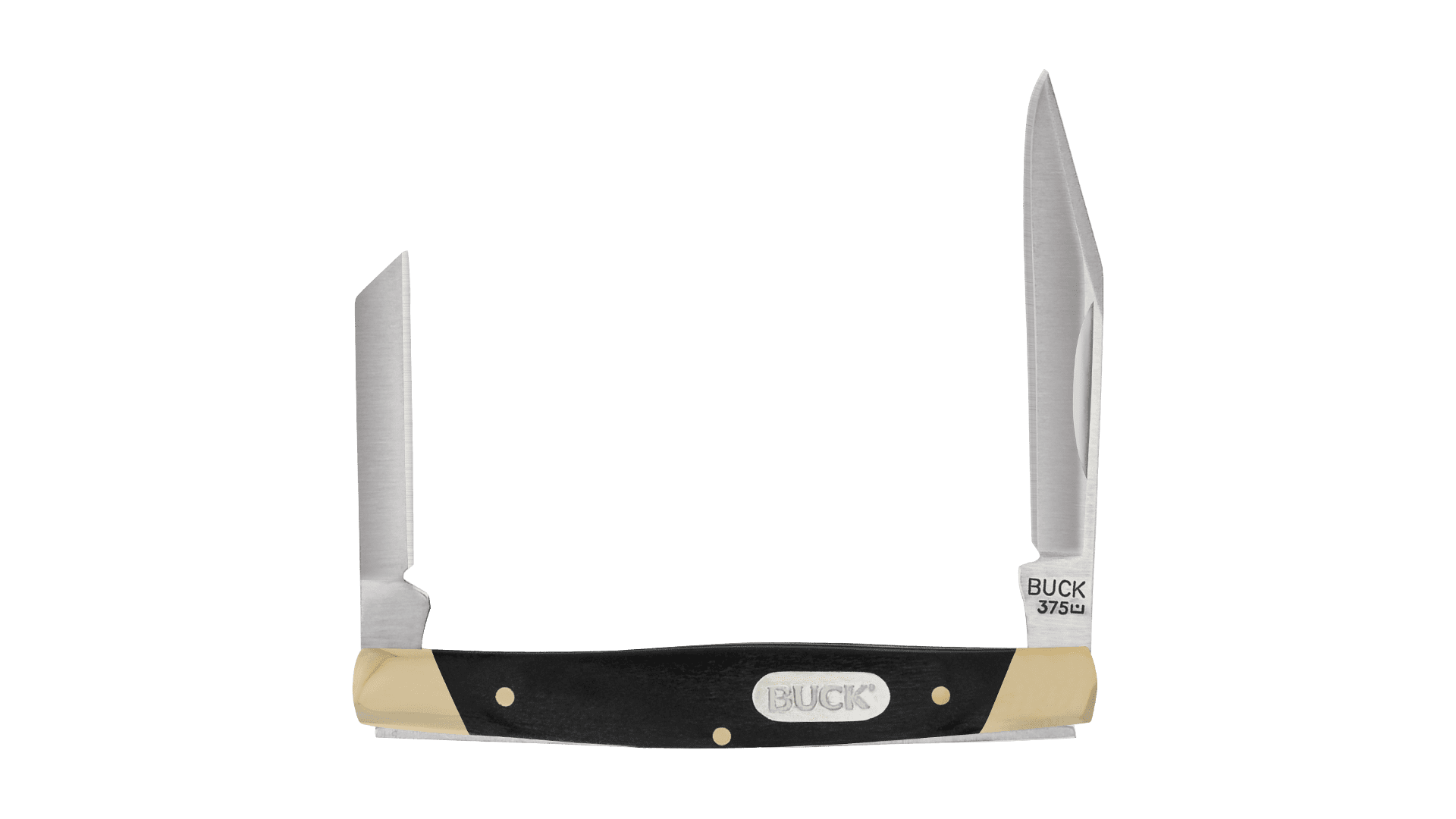 Buck Knives 0375BKSWM Deuce, Black Pakawood Handle,Box