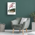 thumbnail image 4 of Canvas Wall Art - Incado 'Spoonbill' Wall Art for Living Room, Bedroom, or Office Décor by Trademark Fine Art - 16 x 24 Inches, 4 of 4