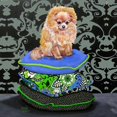 thumbnail image 2 of Dillon, Carol 20x20 Gold Ornate Wood Framed with Double Matting Museum Art Print Titled - Pomeranian Pillows, 2 of 4