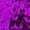 Purple, variant on Sequins Beaded Party Performance Matching Outfit Set Casual Shorts for Women