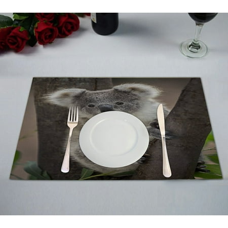 

GCKG Cute Koala Bear on the Tree Branch Placemat 12x18 Inch Set of 2