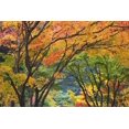 thumbnail image 2 of Paulson, Don 18x13 Black Ornate Wood Framed with Double Matting Museum Art Print Titled - Oregon, Portland Maple trees in autumn color, 2 of 4