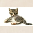thumbnail image 2 of CafePress - Cute Tabby Kitten Meow Tote Bag - Unisex Canvas Tote Bag, Beige, 1-Piece, 2 of 6