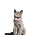 thumbnail image 4 of 1pc/2pcs Adjustable Cat Collar With Bells Safe Release Buckle Plaid Flower Pattern Pet Neck Accessories (1.0 x 28CM), 4 of 8