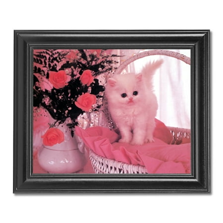 white persian kitten cat rose flower bouquet photo wall picture