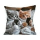 thumbnail image 2 of Fundas de almohada decorativas con estampado de gatos | Tamaño estándar de 45 x 45 cm | Tela de algodón suave con cremallera oculta para sofá, cama o dormitorio, 2 of 9
