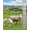 1.2*100m, variant on Cattle Fence 4Ft x 164Ft - Heavy Duty Galvanized Wire Fencing for Hog, Goat, Sheep & Deer, Durable Chain Link Fence for Yard Protection, Livestock & Poultry Enclosures, Field Fence, Cattle Panel
